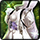<div class='text-left align-top item-tooltip'><div><span class='text-darkgoldenrod'></span><span class='common'>Moon Rabbit Costume (Mount Acceleration)</span></div><div class='text-left'><img class='align-top ml-1' src='/Images/Database/Items/Icon_ms_torso_rabbit_01a_special.png' /></div><div class='text-palegoldenrod'>Available for Level 1 or higher</div><hr class='separator' /><div class='text-palegoldenrod'>Appearance Skill</div><div class='text-lightgoldenrodyellow'><img width='22' height='22' src='/Images/Database/Skills/Skin_SprintFPReduce.png' /> Outstanding Acceleration</div></div>